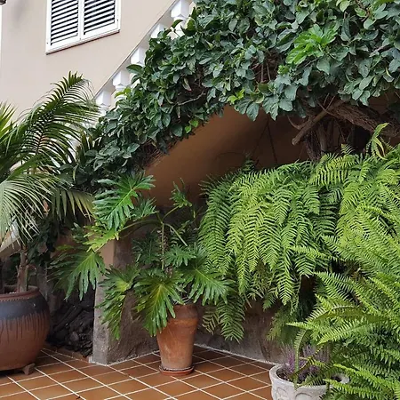 Orotava Garden House Perfect For Families Holiday home La Orotava