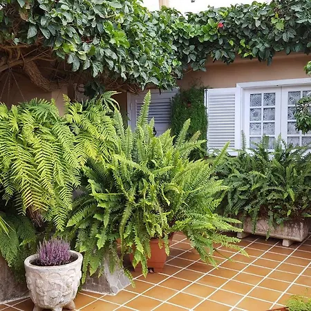 Orotava Garden House Perfect For Families *